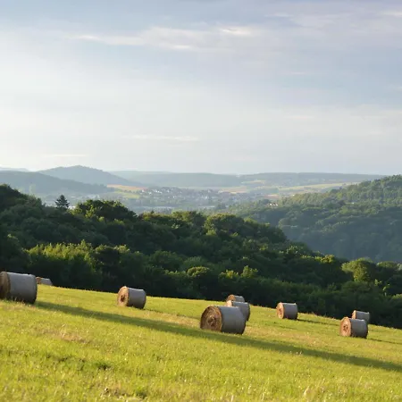 Διαμέρισμα Gefildehof Goepel Άιζεναχ
