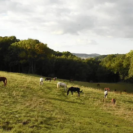 Gefildehof Goepel * Eisenach