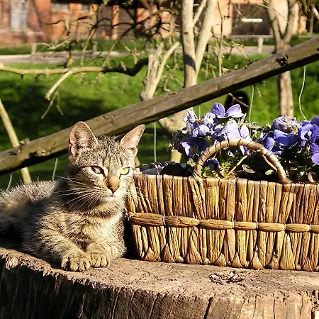 Διαμέρισμα Gefildehof Goepel