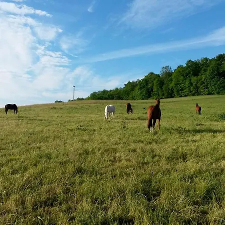 Διαμέρισμα Gefildehof Goepel