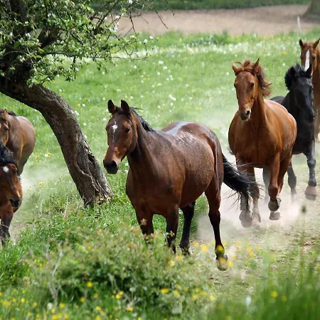 Gefildehof Goepel * Άιζεναχ