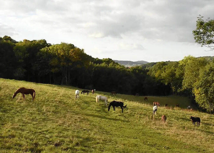 Gefildehof Goepel * Eisenach