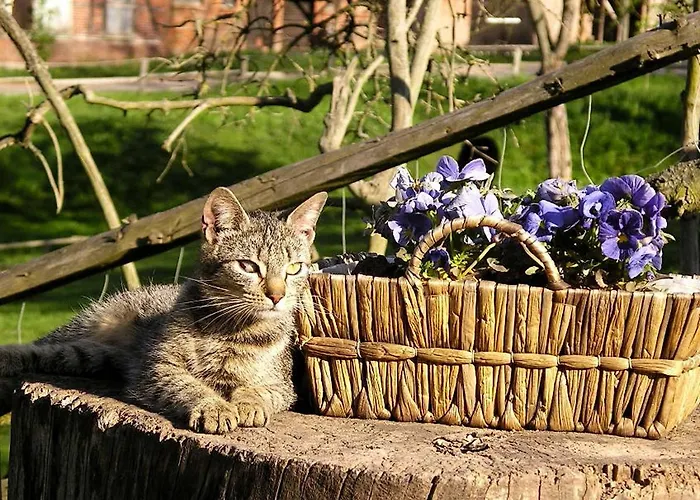 Apartament Gefildehof Goepel