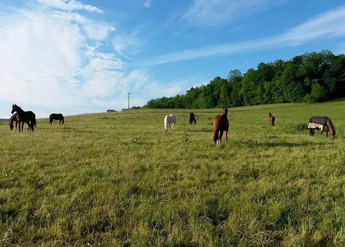 Apartament Gefildehof Goepel